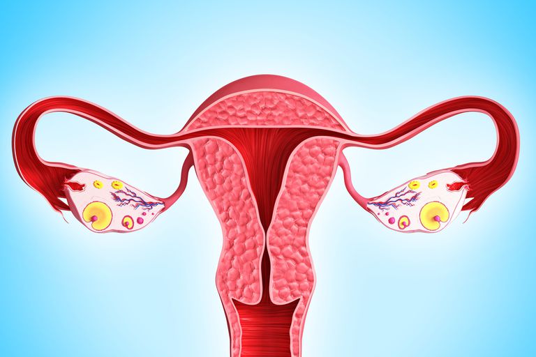 5 Cosas que las mujeres necesitan saber sobre la diabetes y su período Dis Trastornos menstruales