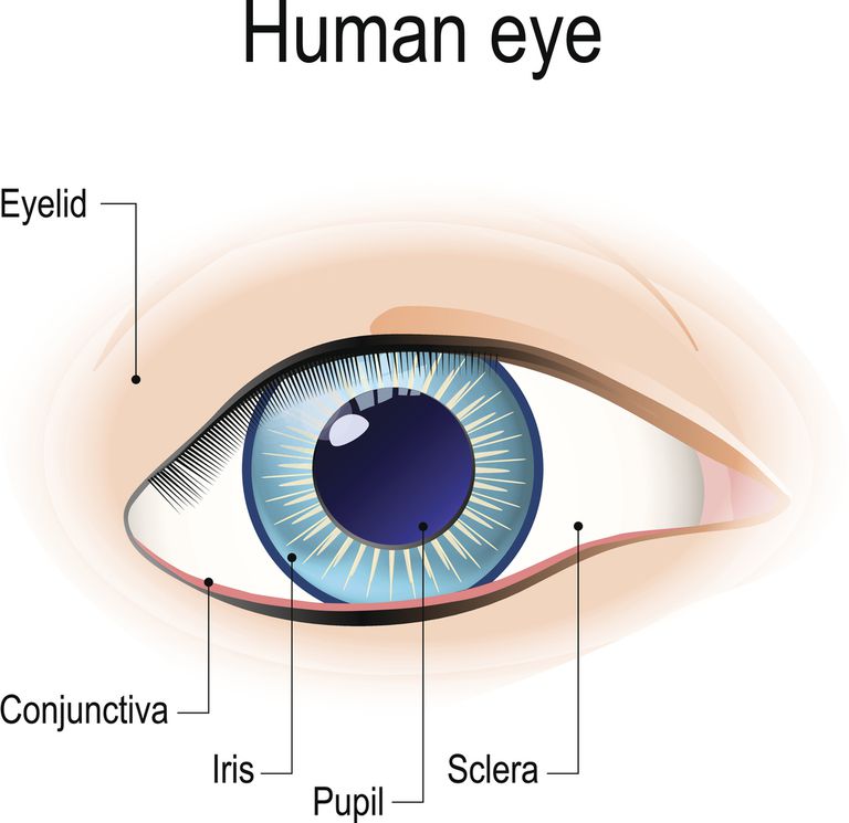 5 Formas en que el lupus afecta los ojos