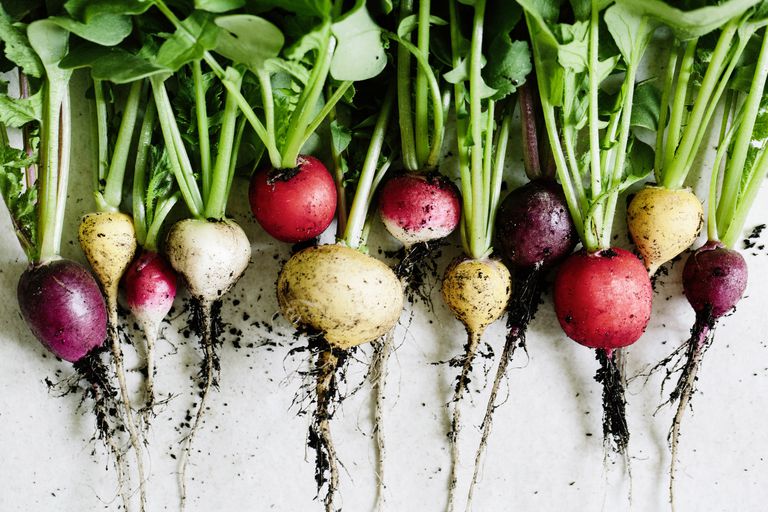 Las mejores verduras de raíz para una dieta baja en carbohidratos
