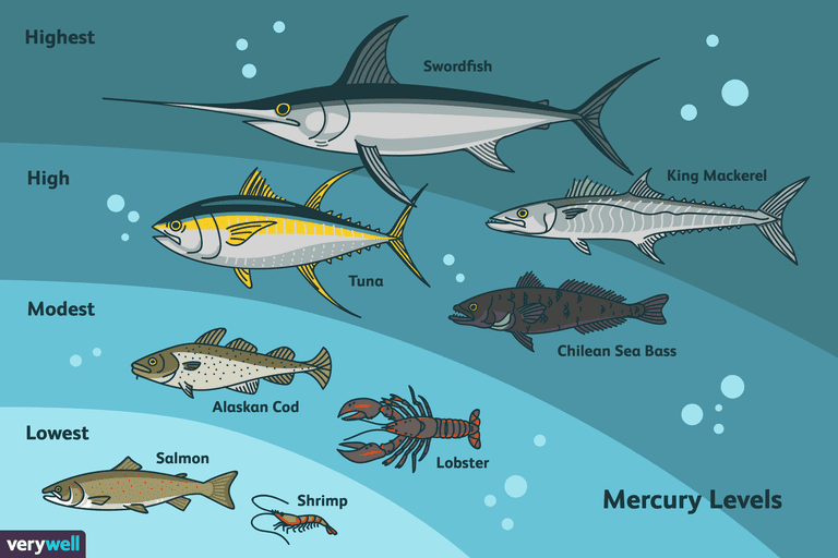 Los mejores tipos de pescado para evitar el mercurio