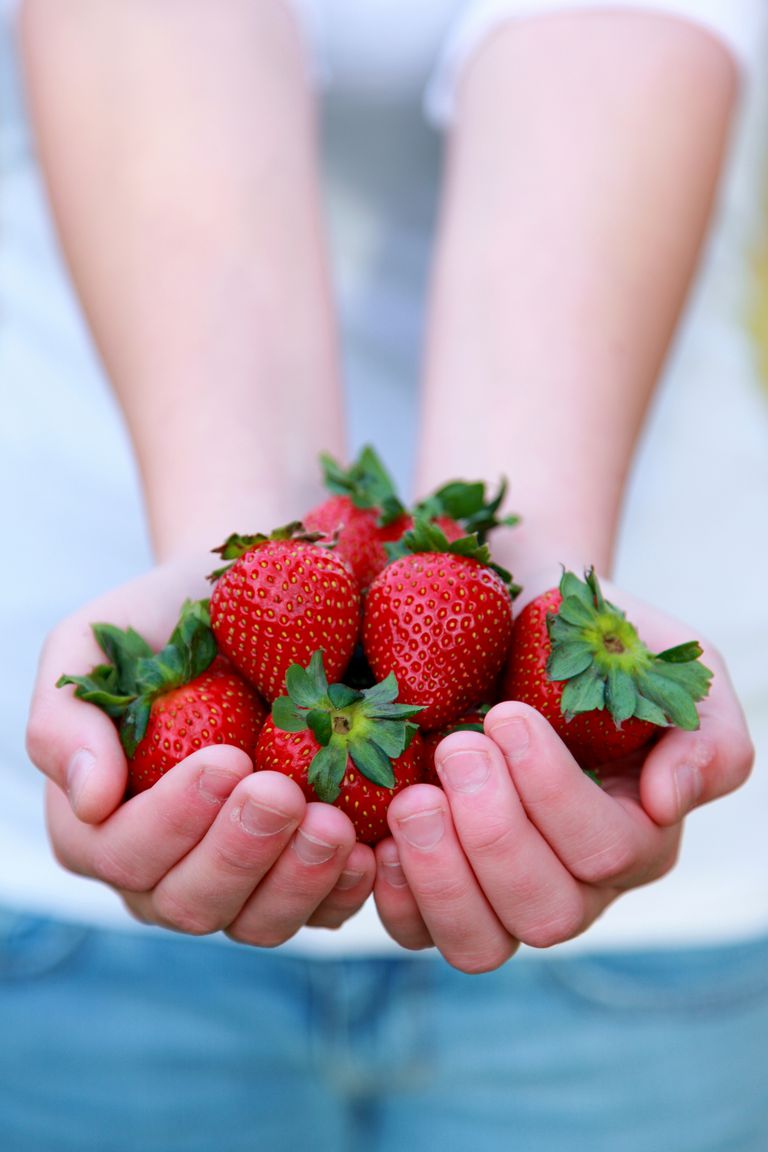 ¿Pueden las fresas reducir su colesterol?