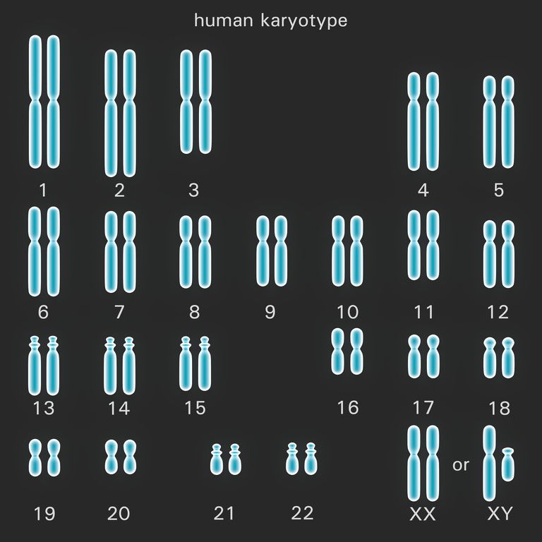 Desórdenes del cromosoma 16: duplicaciones y eliminaciones
