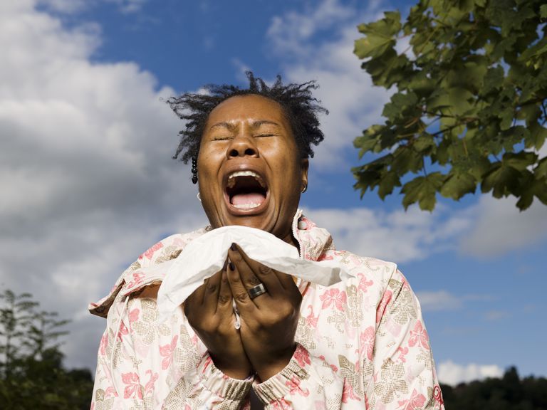 Causas comunes de los estornudos