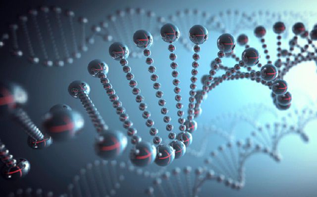 Pruebas de ADN y por qué es útil
