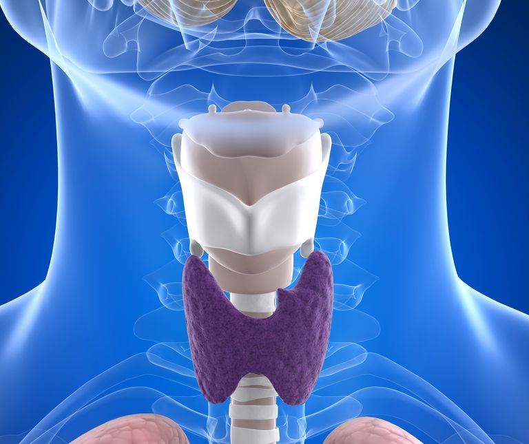¿Las celiacas y la enfermedad tiroidea comparten un desencadenante común?