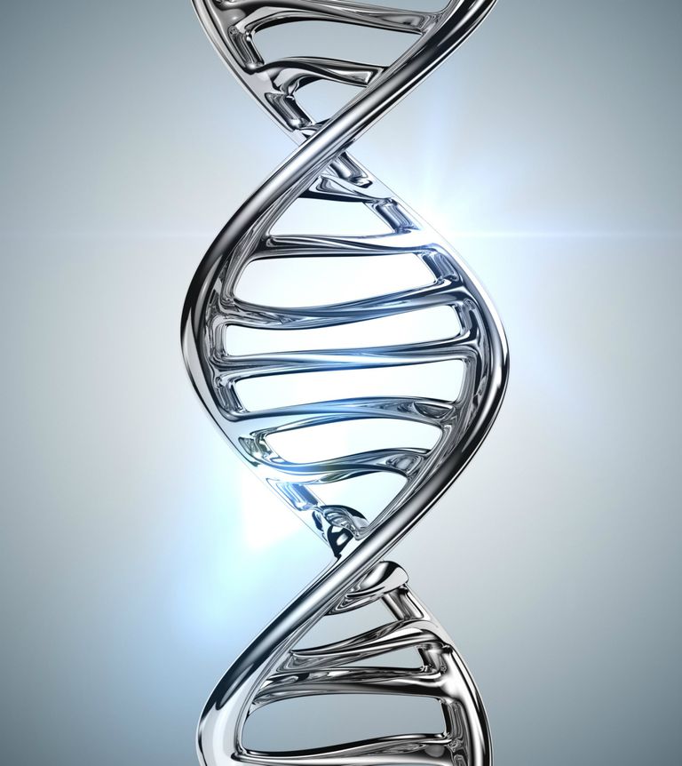 Ejercicio hace tu ADN 9 años más joven