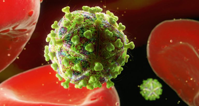 Proteínas del sobre del VIH y su papel en la entrada e infectividad del VIH