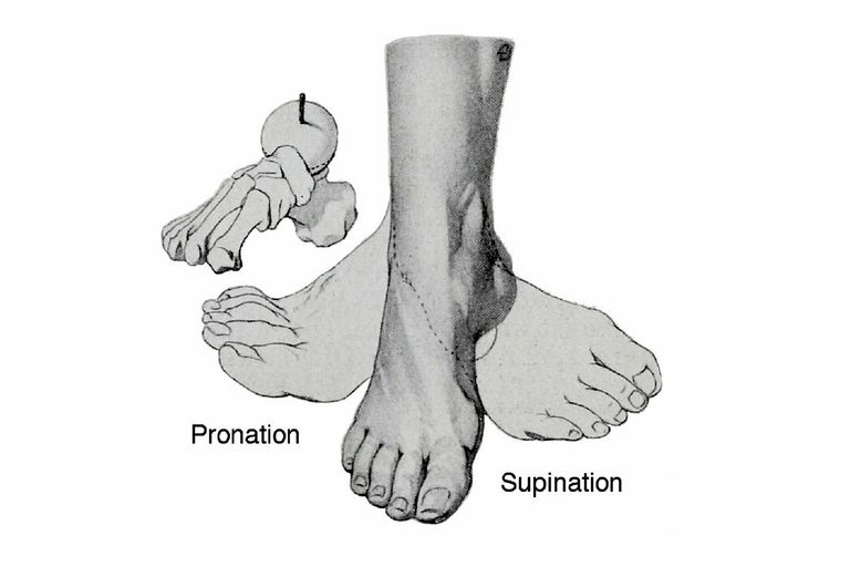 Cómo la pronación y la supinación afectan su marcha