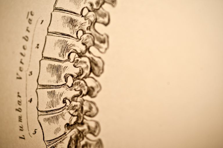 Cómo su columna lumbar puede causar dolor de espalda