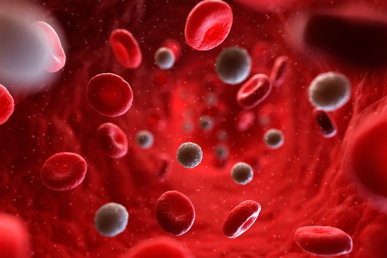 Aprenda exactamente qué índices de glóbulos rojos le pueden decir