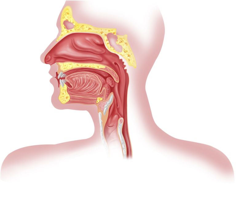 Tubos nasogástricos (NG) e IBD