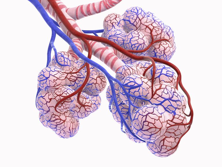 Nuevos tratamientos para la fibrosis pulmonar idiopática