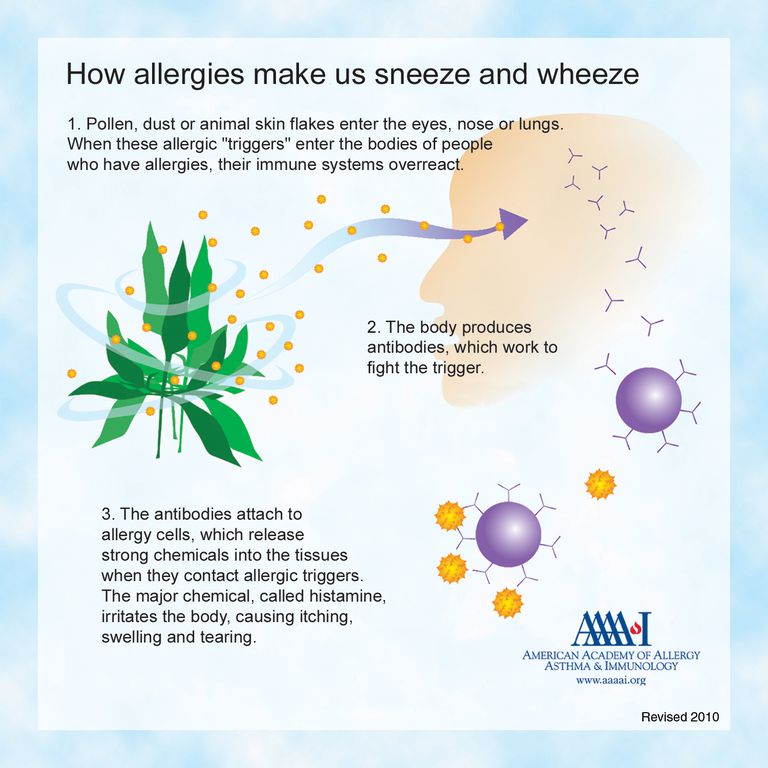 No cometer estos errores de alergia al asma esta primavera
