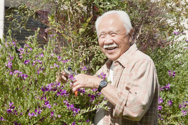 Planear un jardín para personas con Alzheimer