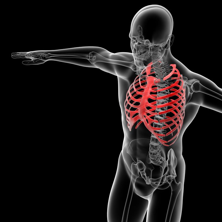 Ejercicios de costillas elevadas para mejorar la postura y aliviar el dolor de espalda