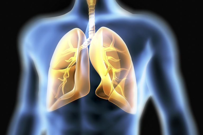 Avances de investigación en la fibrosis pulmonar idiopática (FPI)