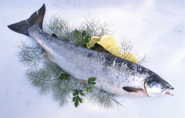 Los 8 mejores pescados para los ácidos grasos Omega-3
