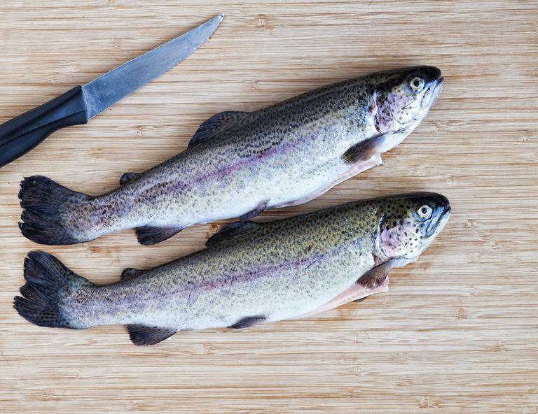 Los 8 mejores pescados para los ácidos grasos Omega-3