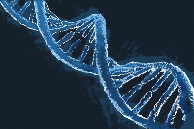 ¿Qué es el gen HLA-DQ7 y está relacionado con la enfermedad celíaca?