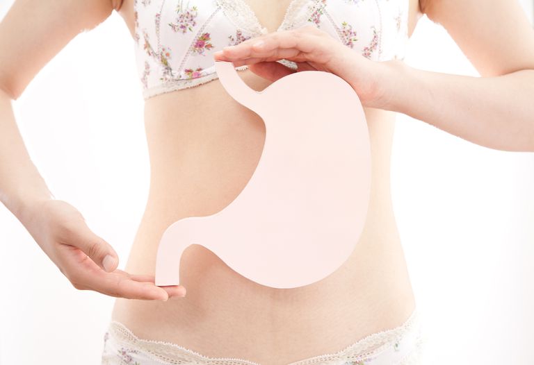 ¿Qué órganos componen el sistema digestivo?