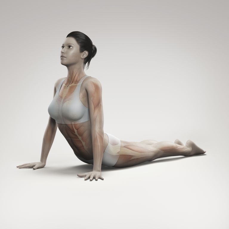 Yoga Cobra Pose y dolor de espalda