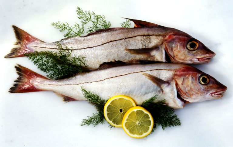 16 Pescados y Mariscos para Comer si Usted Quiere Evitar el Mercurio