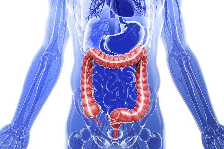 3 Pruebas no invasivas para evaluar la función digestiva