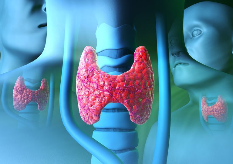 Explicación de los 5 mitos tiroideos más dañinos