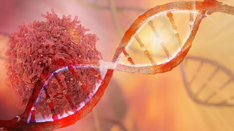 Mutaciones génicas de BRCA2 y riesgo de cáncer en hombres y mujeres