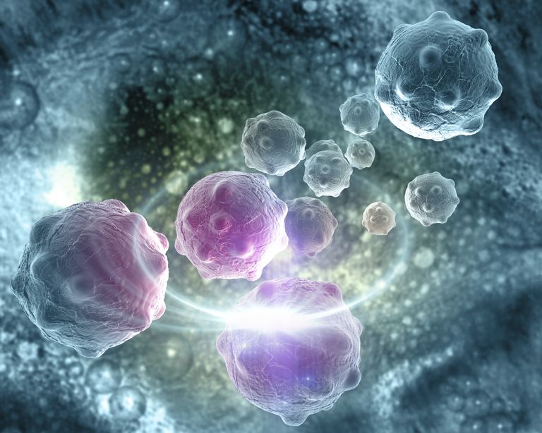 Tipos y características de las células cancerígenas