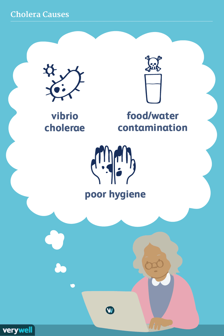 Causas y factores de riesgo del cólera