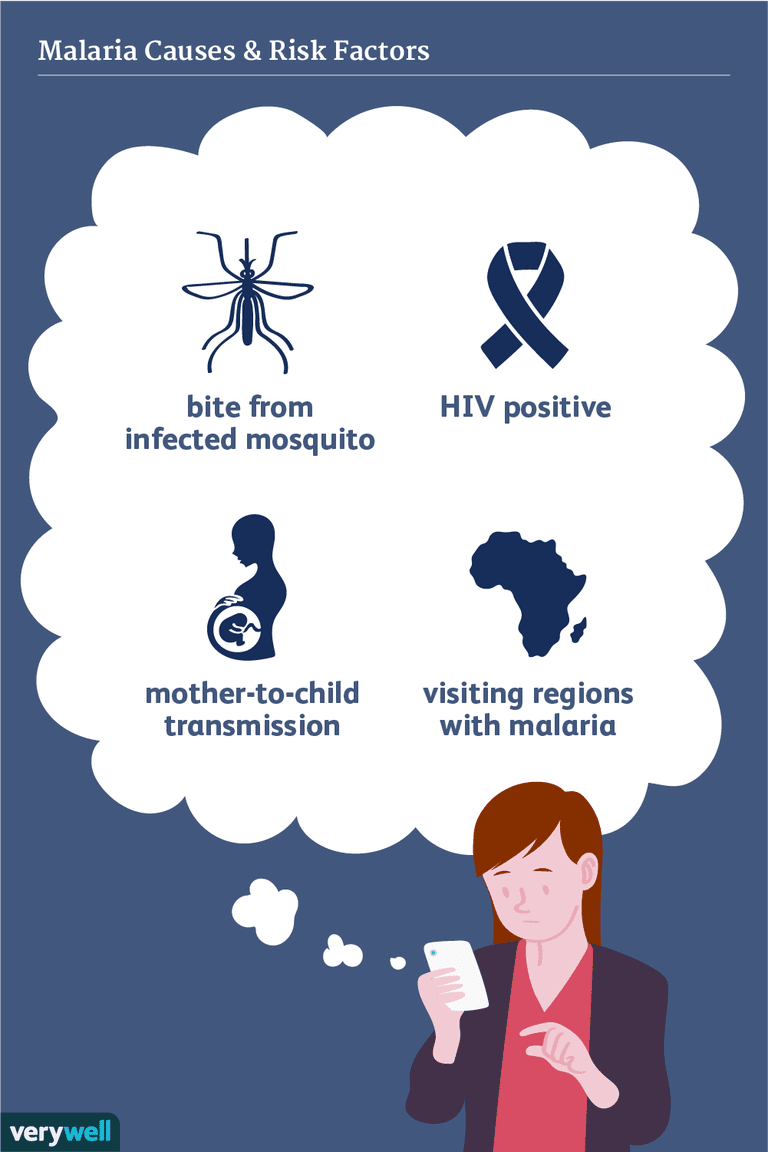 Causas y factores de riesgo de la malaria