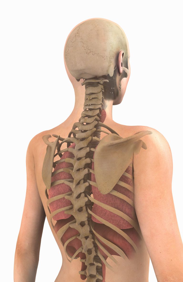 Profesión de quiropráctica: no solo médicos de espalda