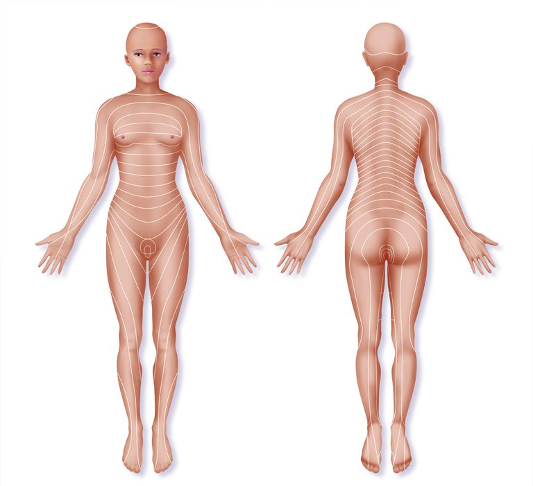 Definición del dermatoma con dolor de espalda Ejemplo