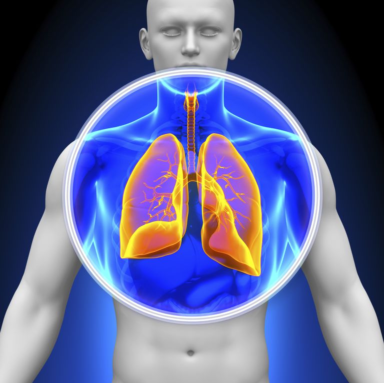 Los diferentes tipos de cáncer de pulmón