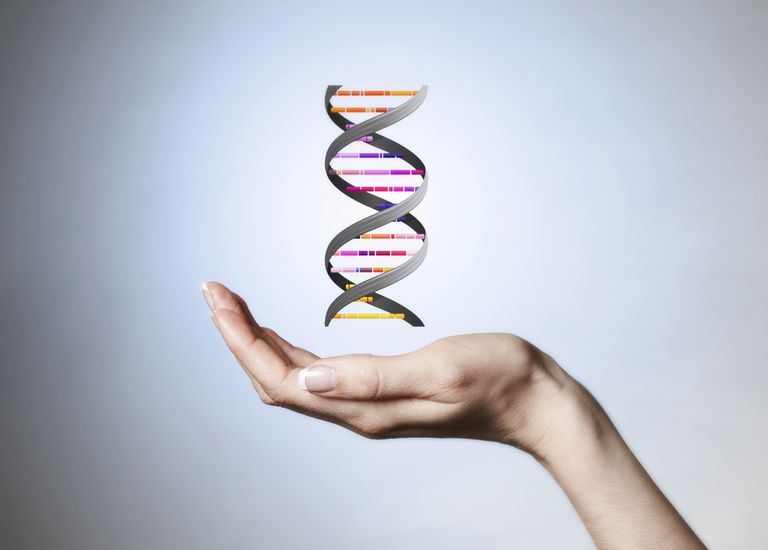 Pruebas genéticas directas al consumidor para la enfermedad celíaca