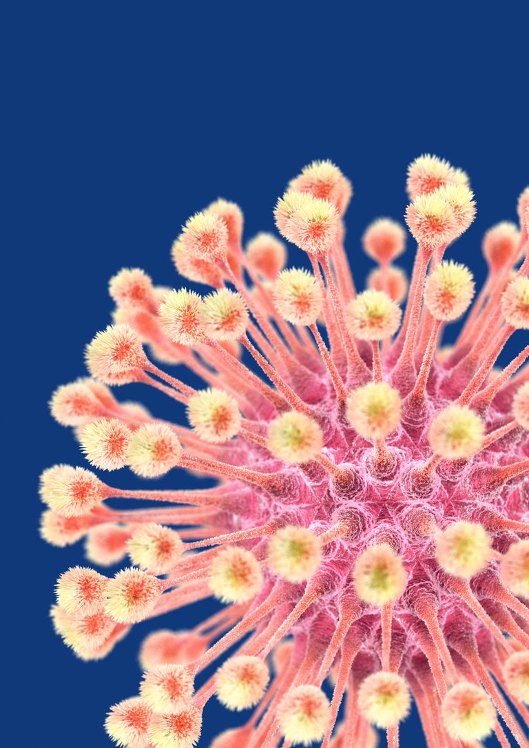 Las cinco preguntas más comunes sobre el herpes