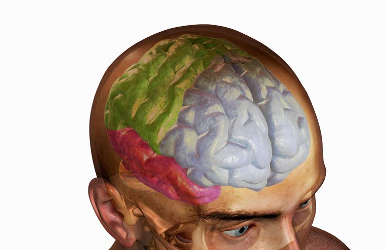 Trauma de la cabeza del lóbulo frontal