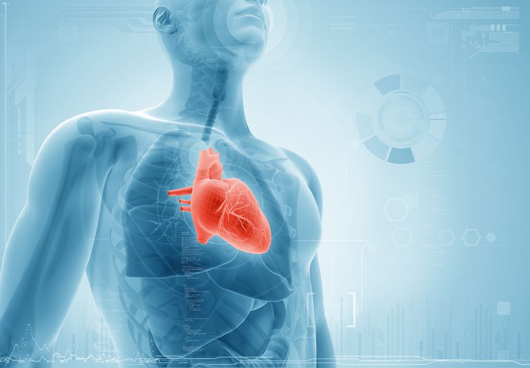 Cómo los inhibidores de la ECA tratan eficazmente la insuficiencia cardíaca