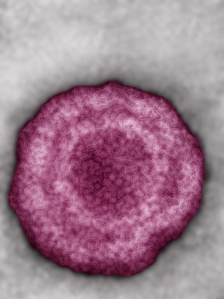¿Cómo me prueban para la hepatitis B / HBV?