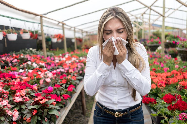 Aprender sobre alergias