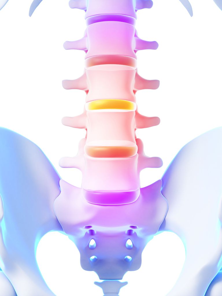 Ejercicio de la parte inferior de la espalda para la conciencia de la postura