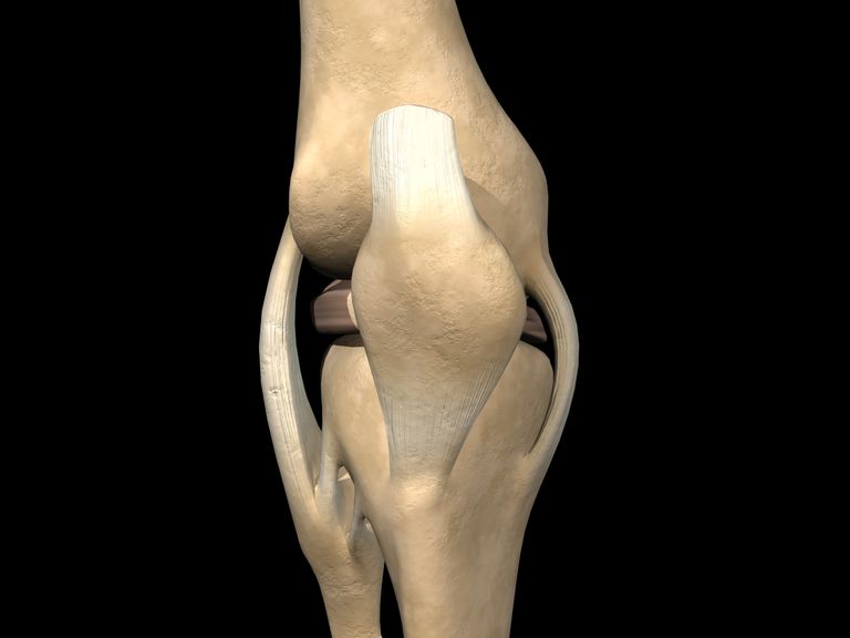 MCL Lesiones del ligamento colateral o del ligamento ⇒ Ortopedia