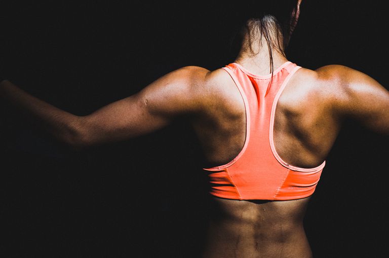 Músculos paraespinales: los músculos de acción de la espalda
