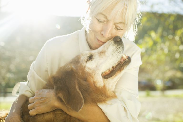 Terapia con mascotas para pacientes con cáncer