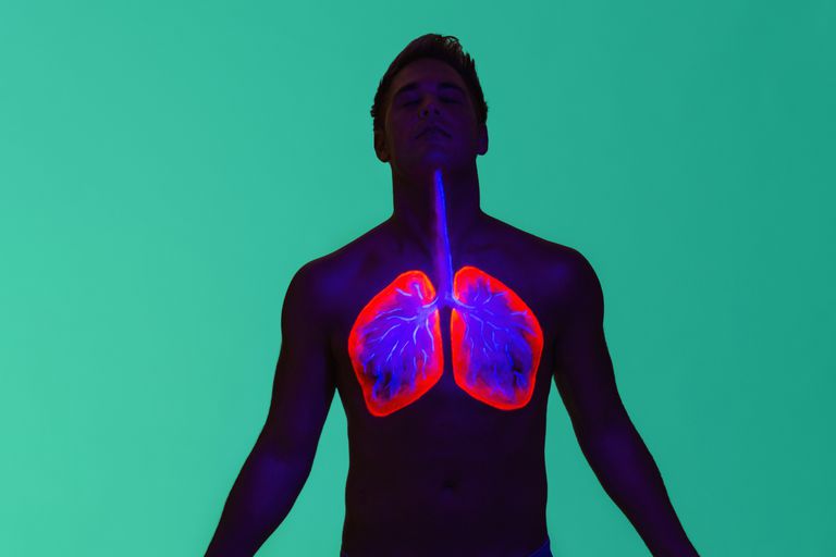 Fisiología de cómo funciona la respiración F Fibrosis quística