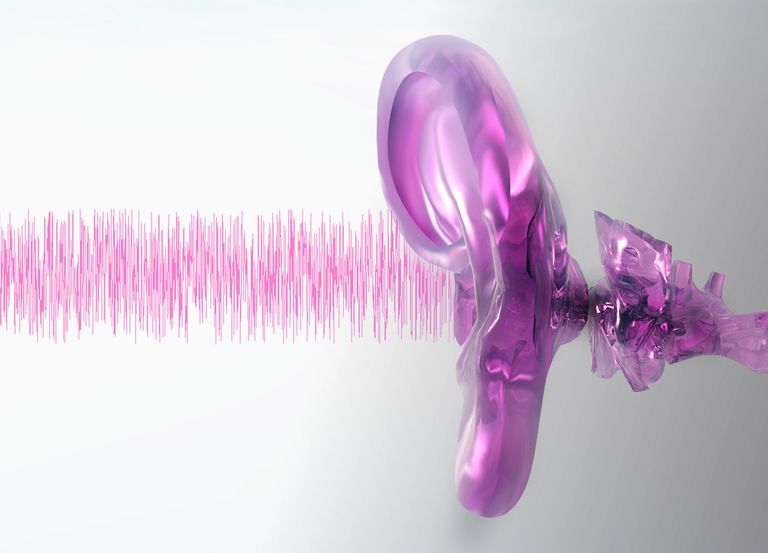 Papel de los osículos auditivos en la audición
