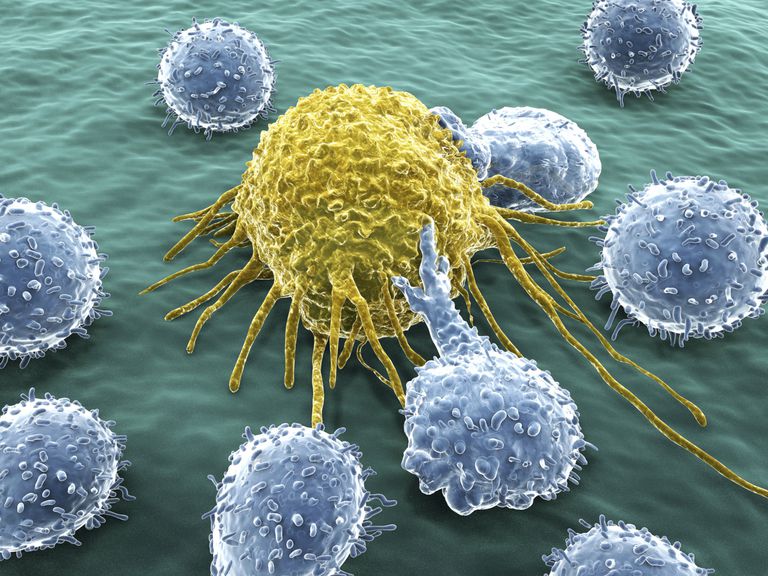 Células T y su papel en el cáncer