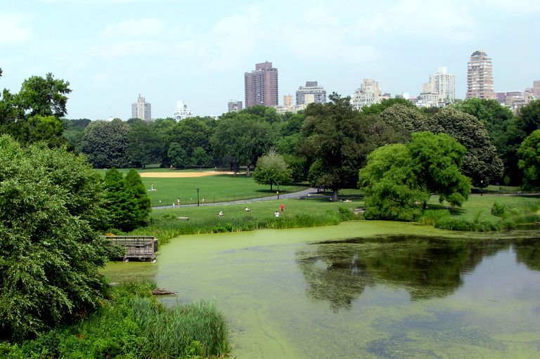Los 10 mejores recorridos por Estados Unidos: Manhattan y Central Park
