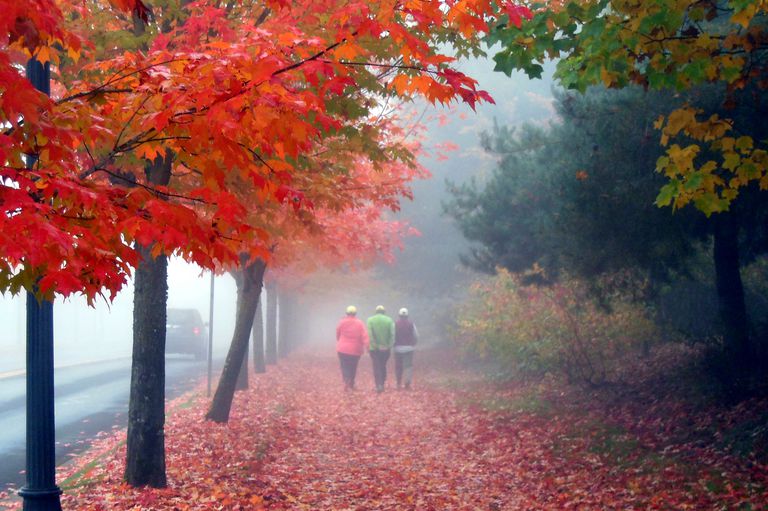 Las 10 mejores formas de disfrutar de una caminata de otoño